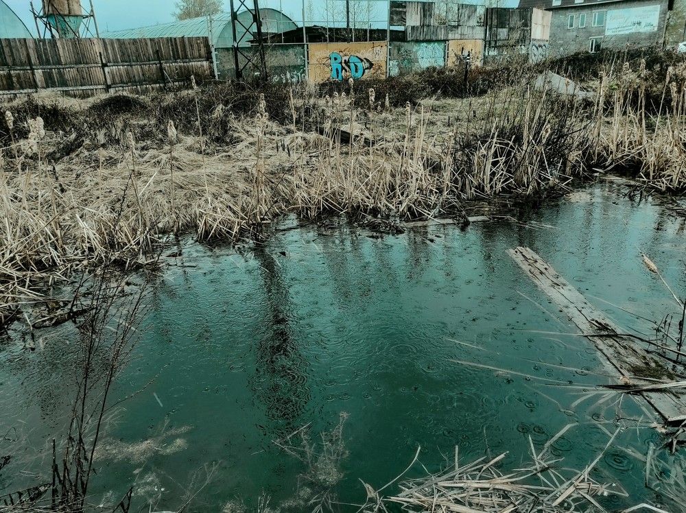 Photograph by Саттарова Ирина