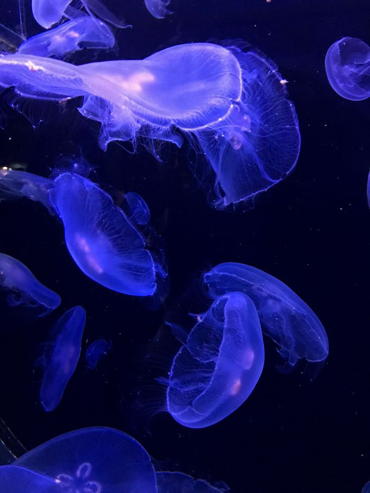 Photograph by Витольда Осина