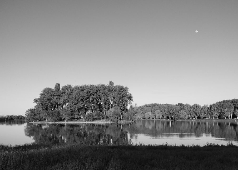 Photograph by Светлана Мозговая