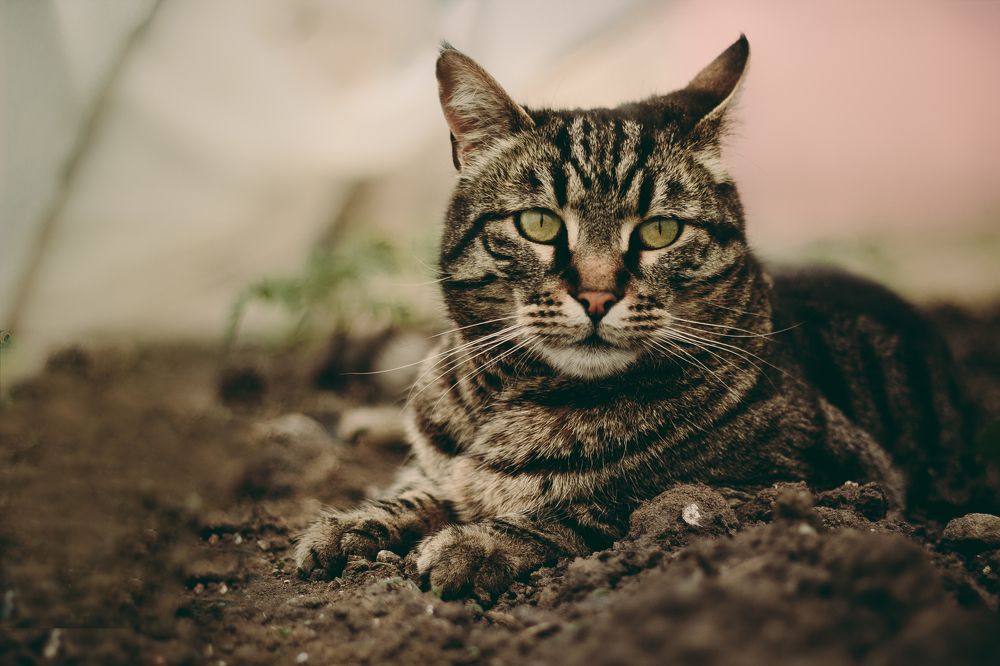 Photograph by Павел Каминский