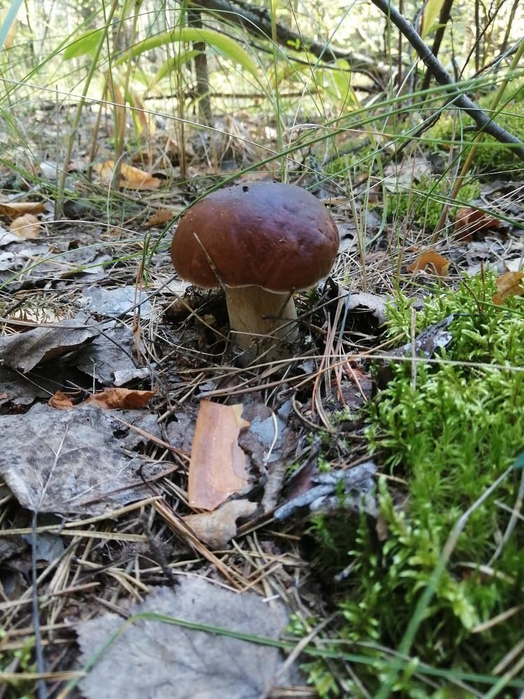 Photograph by Павел Дегтярев