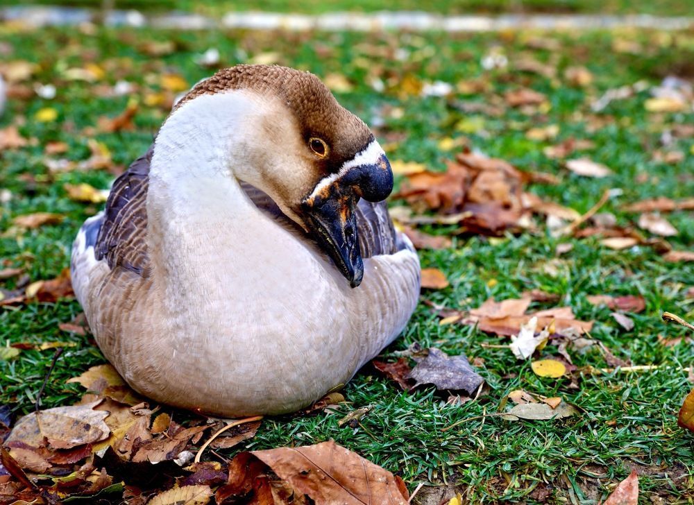 Photograph by Farinaz Bagherpour