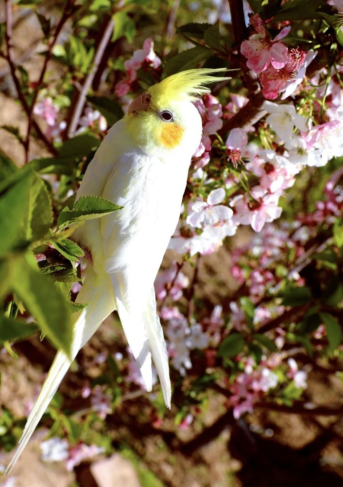 Photograph by Farinaz Bagherpour