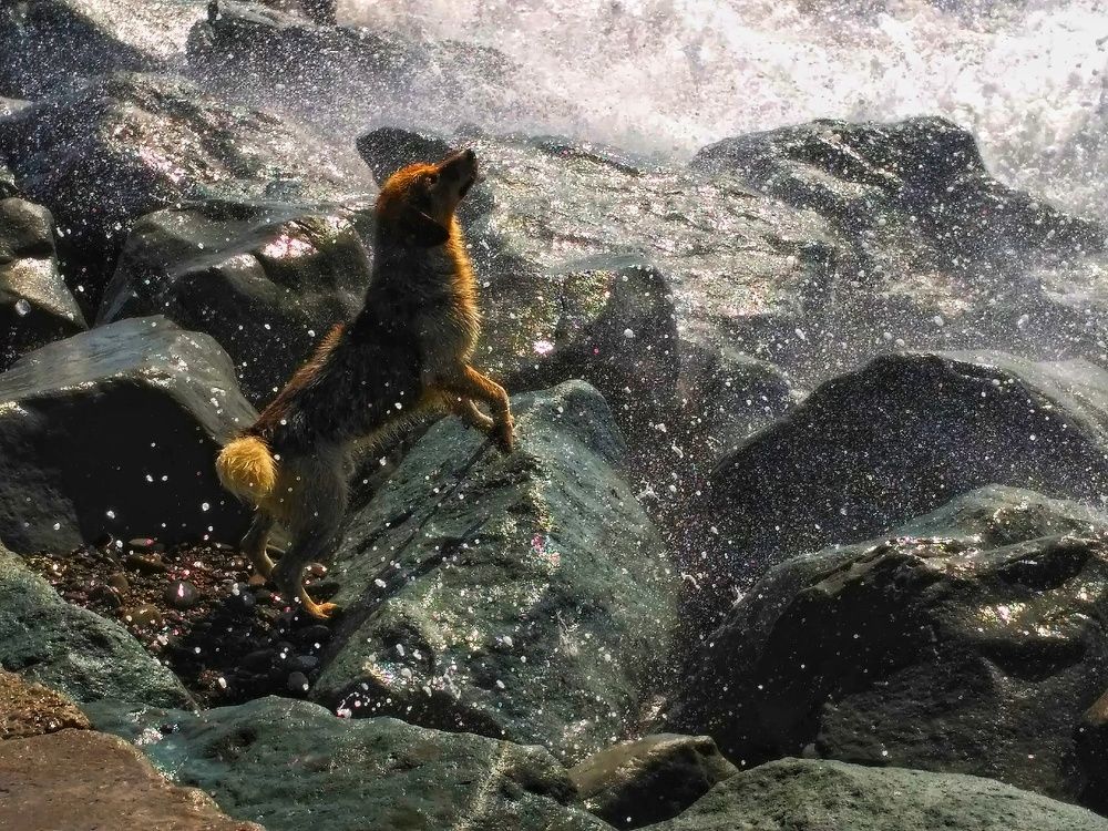 Photograph by Ирина Шилина