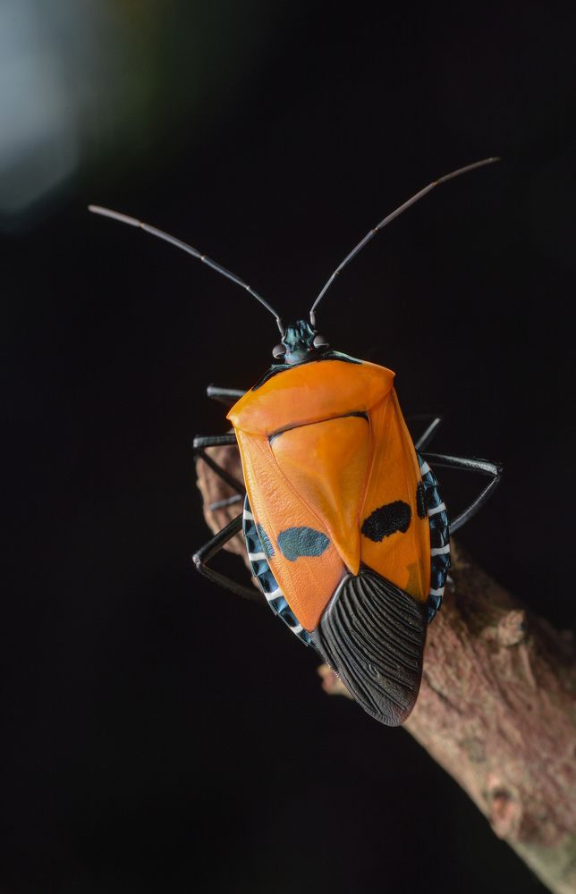 Photograph by Yusak priyanto