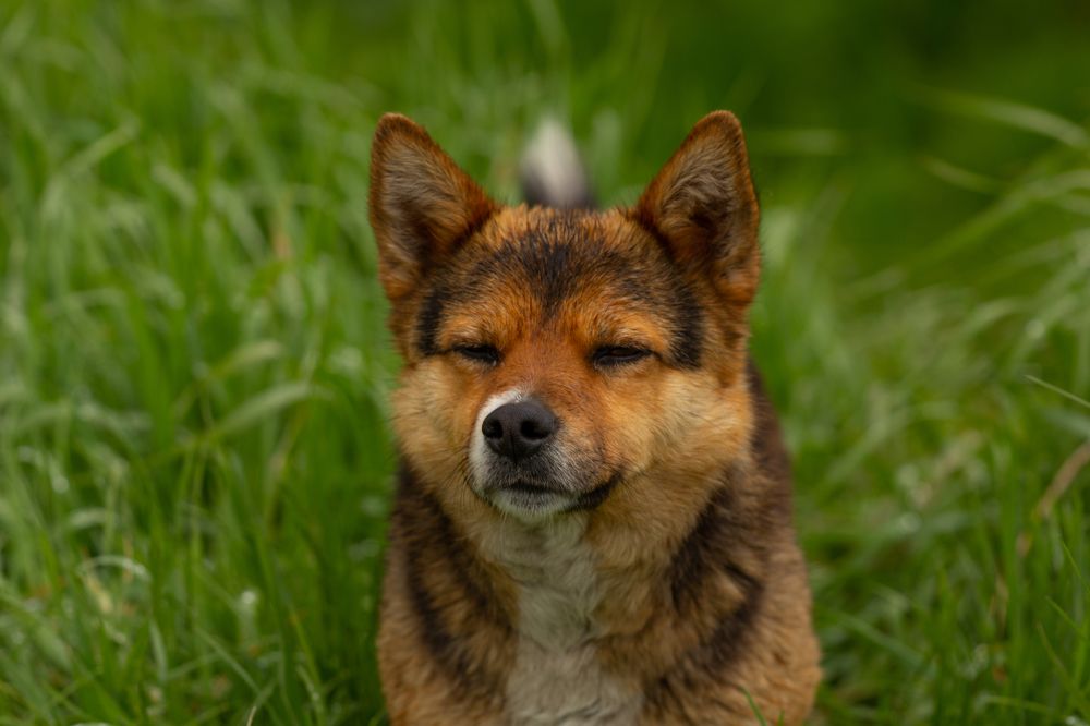 Photograph by Иван Гаврелюк