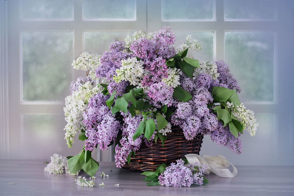 Photograph by Ирина Писанова