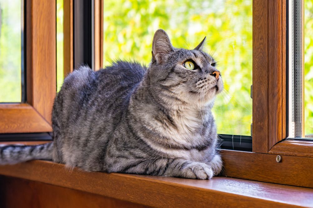 Photograph by Олег Ершов