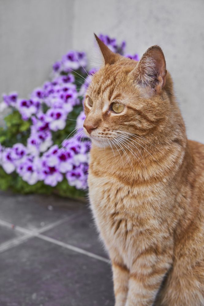 Photograph by Lucio Gudiño