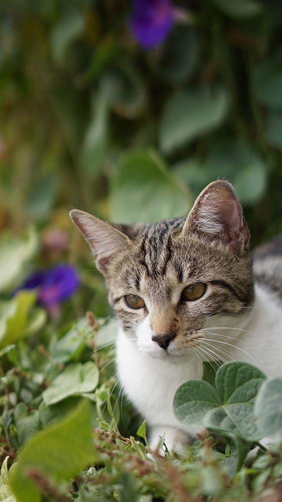 Photograph by Lucio Gudiño