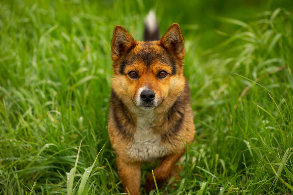 Photograph by Иван Гаврелюк