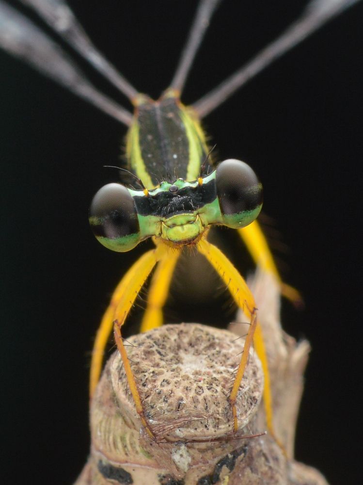 Photograph by Yusak priyanto