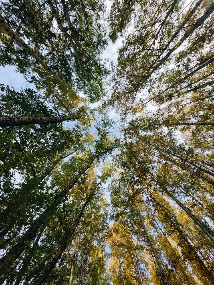 Photograph by Юлия Балдина