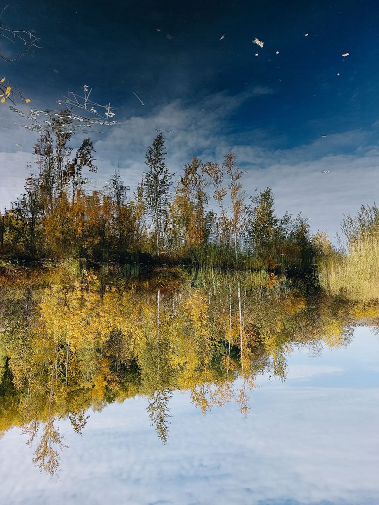 Photograph by Юлия Балдина