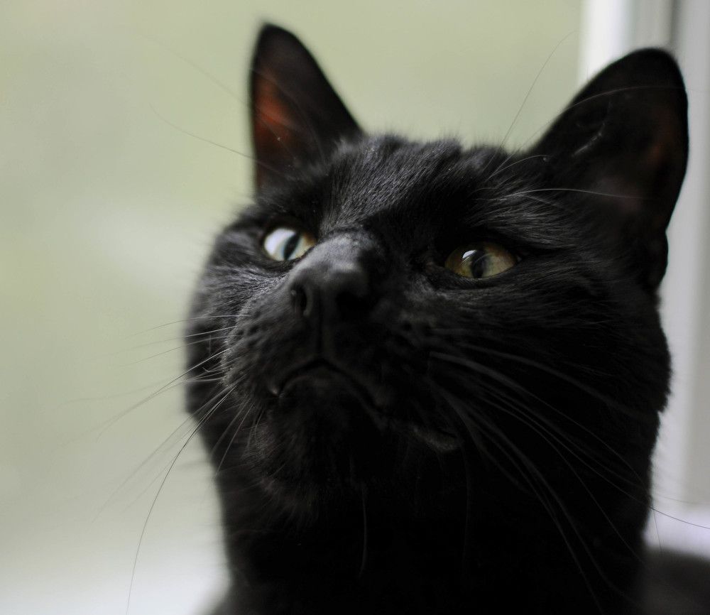 Photograph by Наталия Акимова