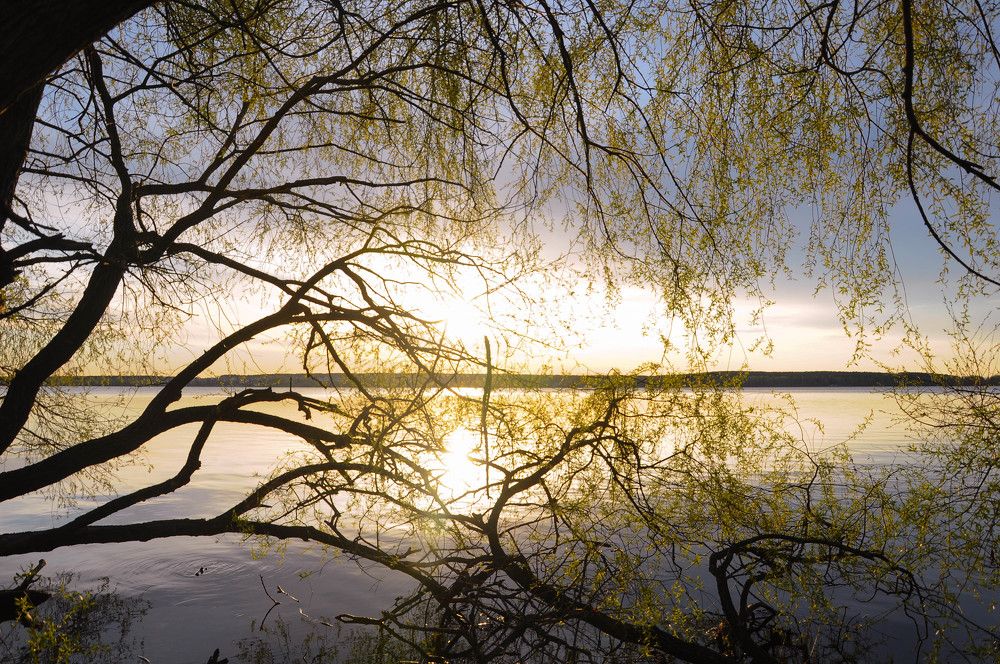 Photograph by Наталия Акимова