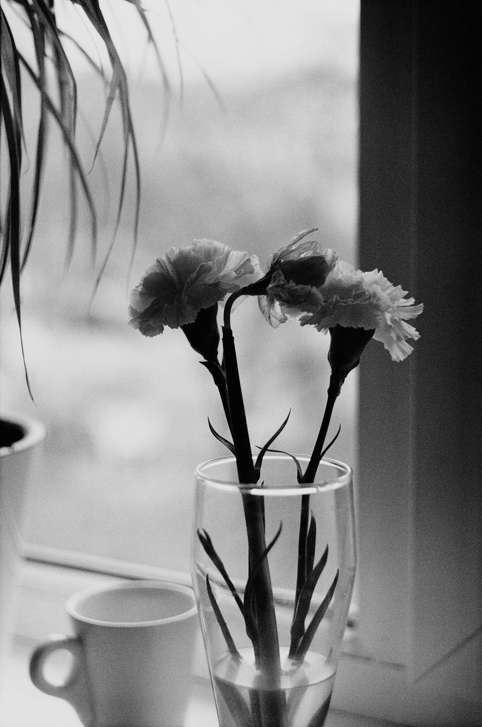 Photo #7572460