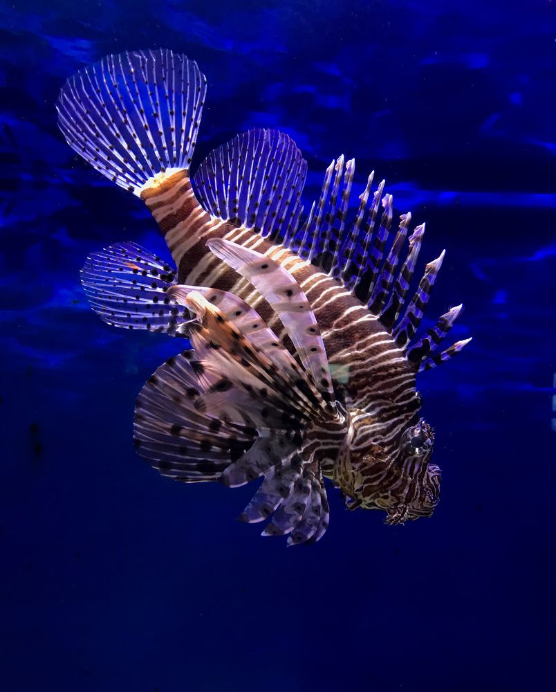 Photograph by Витольда Осина