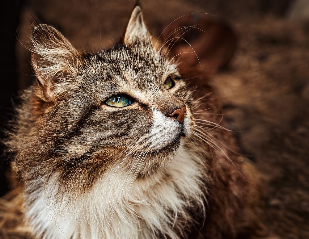 Photograph by Dace Spalviņa