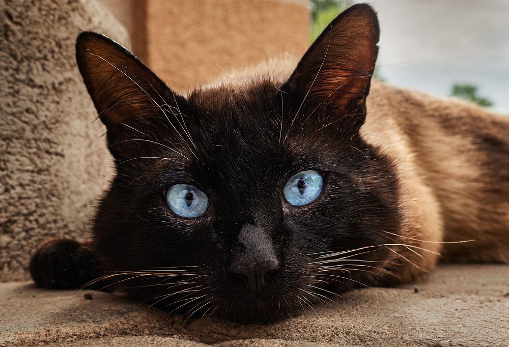 Photograph by Dace Spalviņa