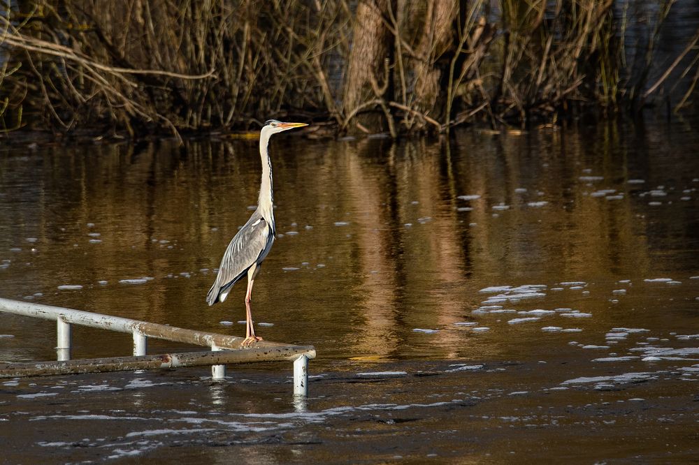 Photograph by Dace Spalviņa