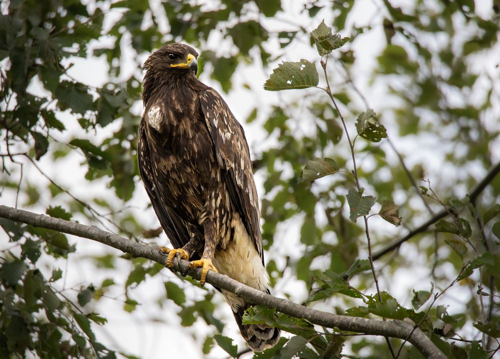 Photograph by Dace Spalviņa