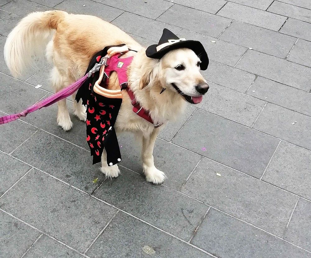 Photograph by Marina Eremin