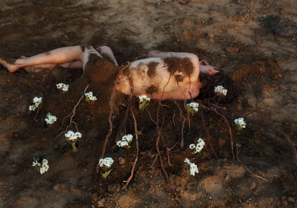 Photograph by Даниил Синица