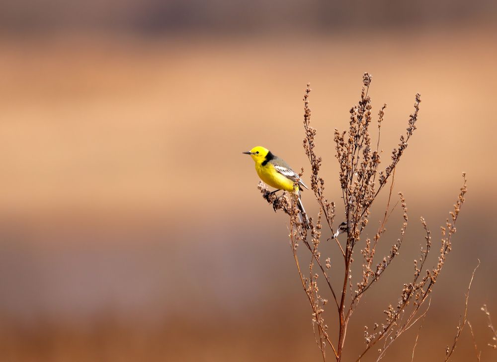 Photograph by Алексей