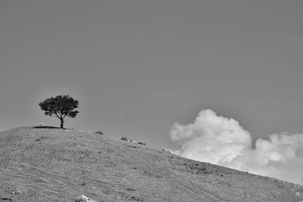 Photograph by Людмила Леонтьева