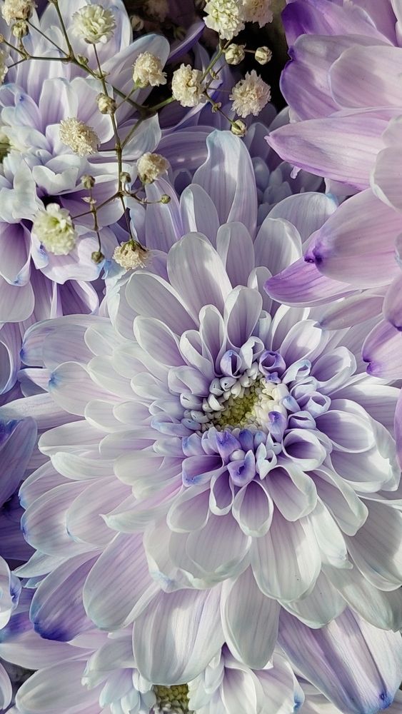 Photograph by Luckymale4ek