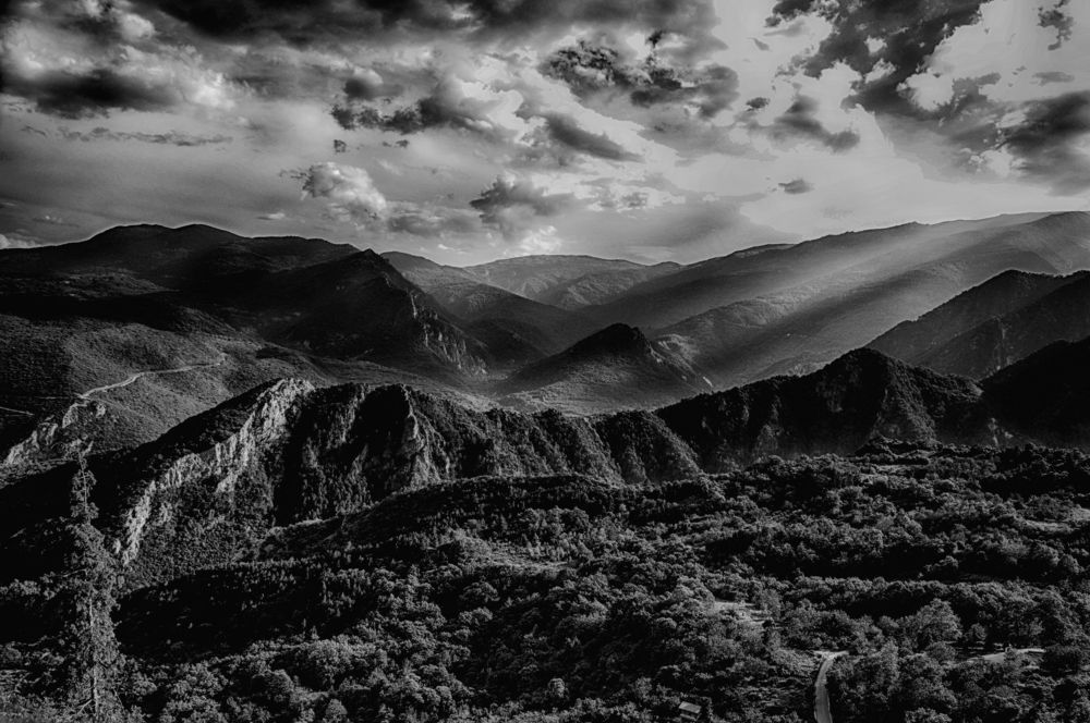 Photograph by Teodora Sarbinska