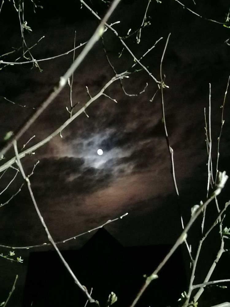 Photograph by Диана Грэске