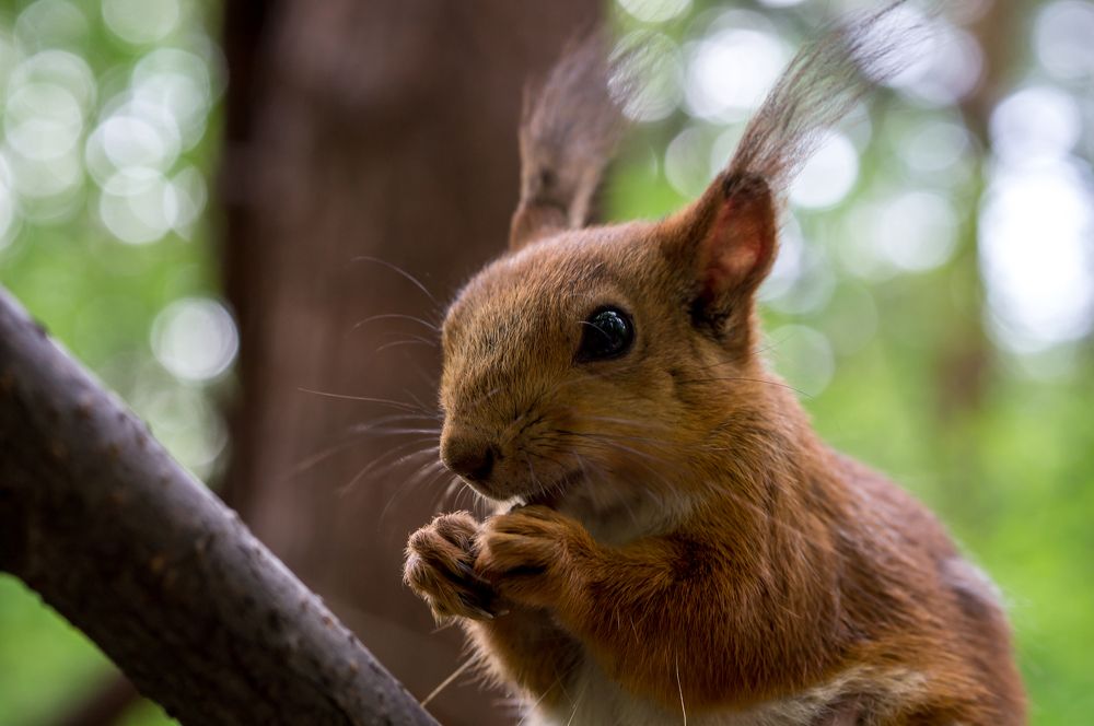 Photograph by Владимир Янчук