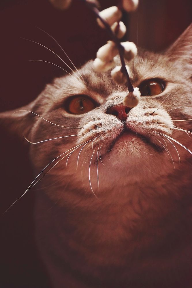 Photograph by Людмила Леонтьева