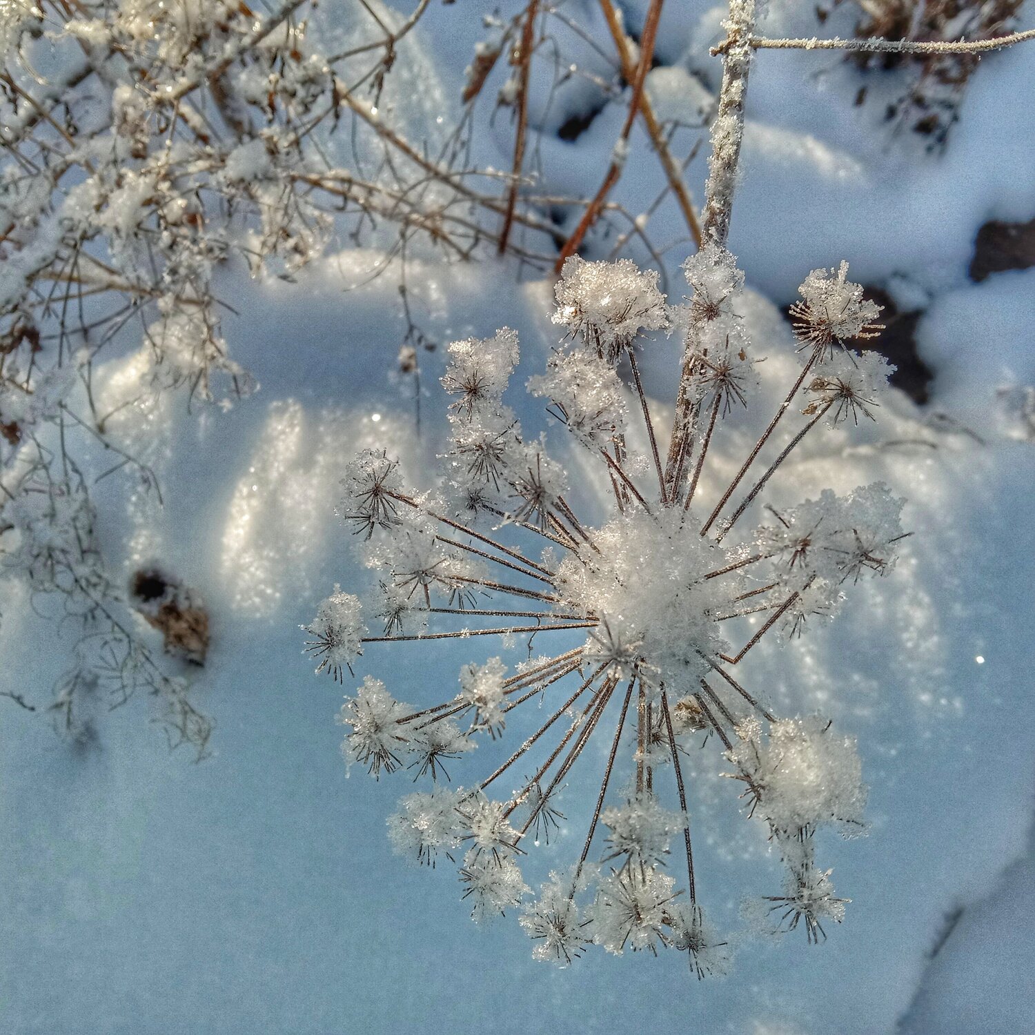 Photo #7572627
