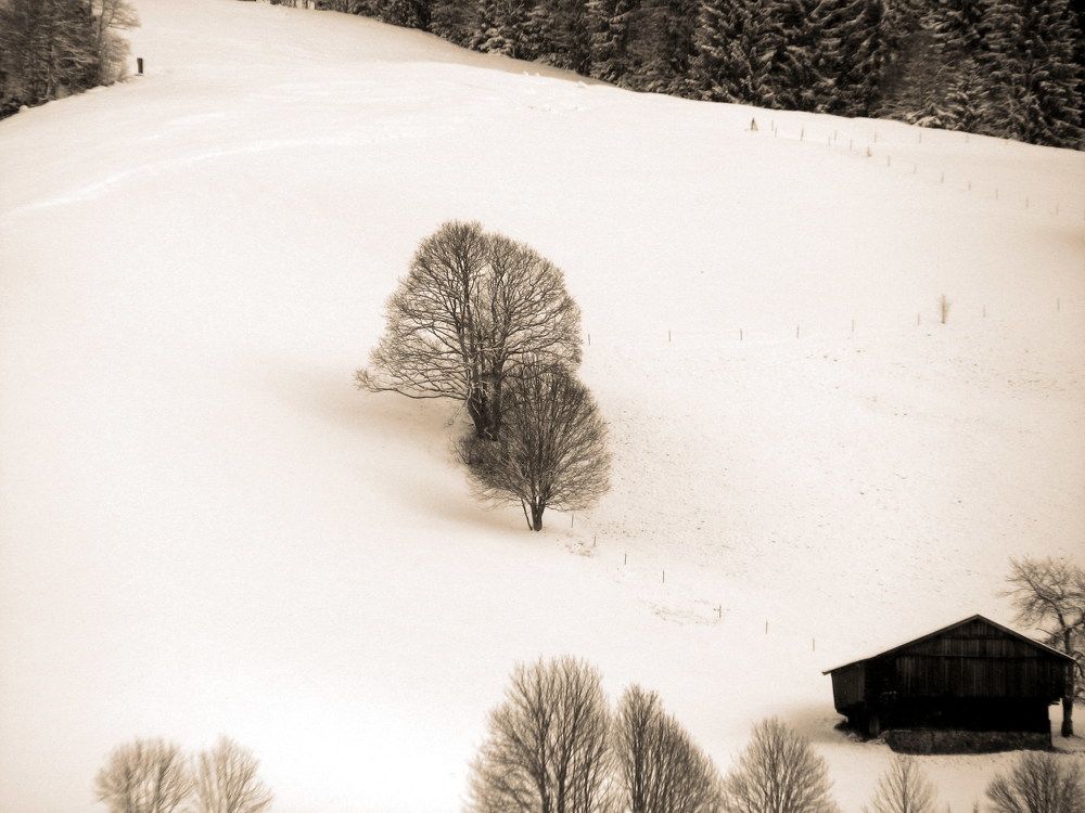 Photograph by Игорь