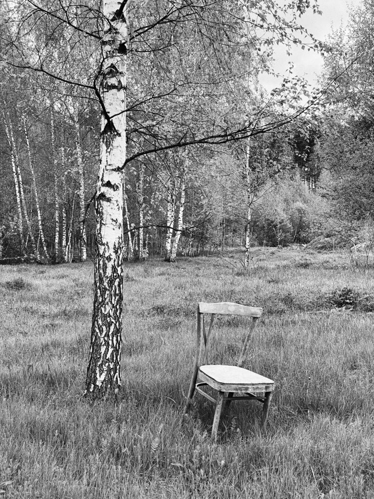 Photograph by Наталья Мальцева