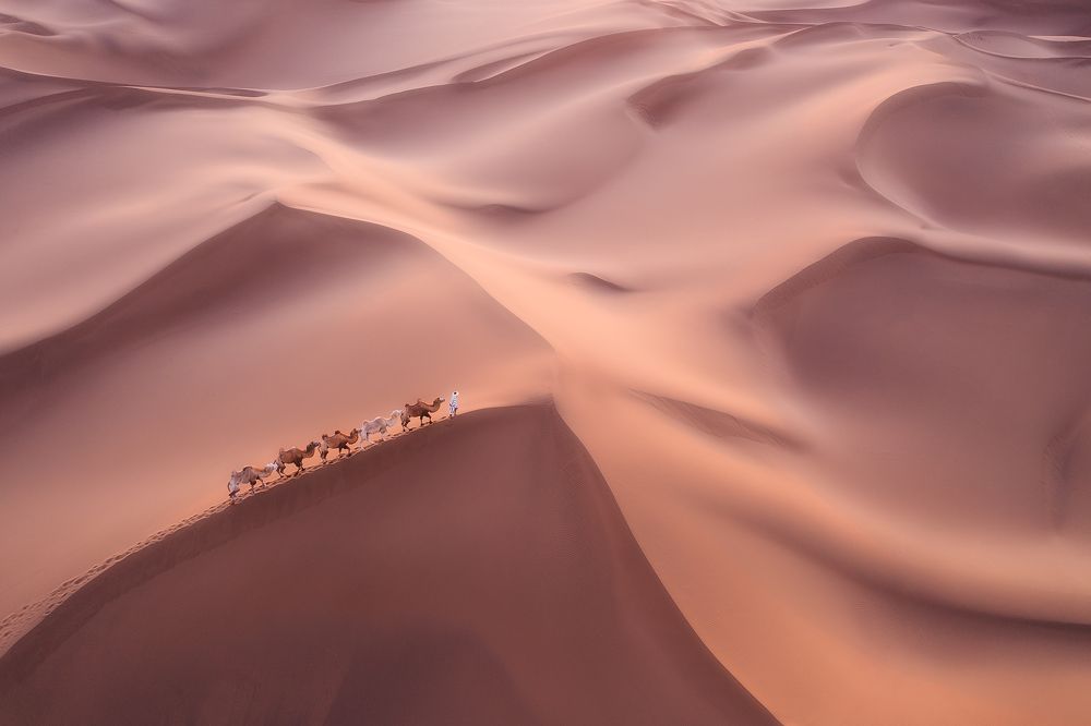 Photograph by bin zhang