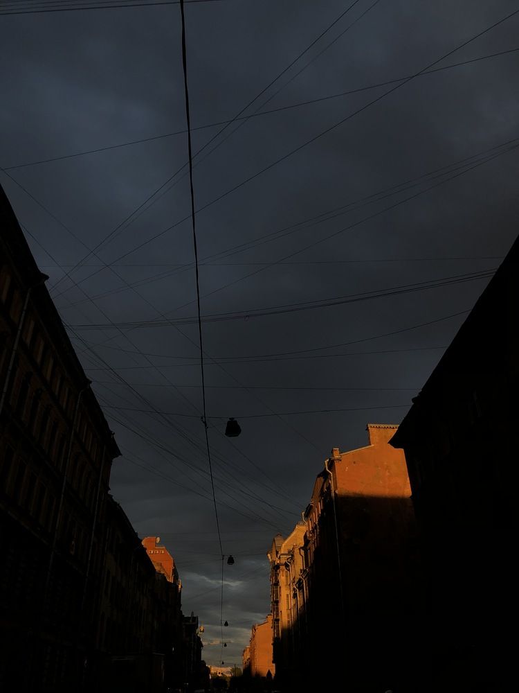 Photograph by Елена Горина