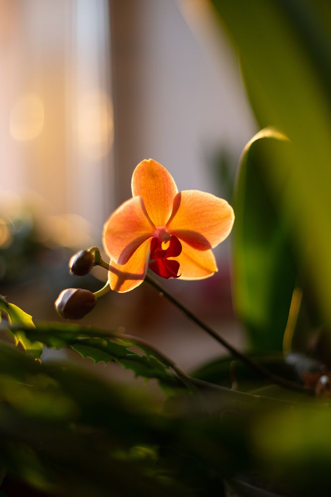 Photograph by Виталий Са