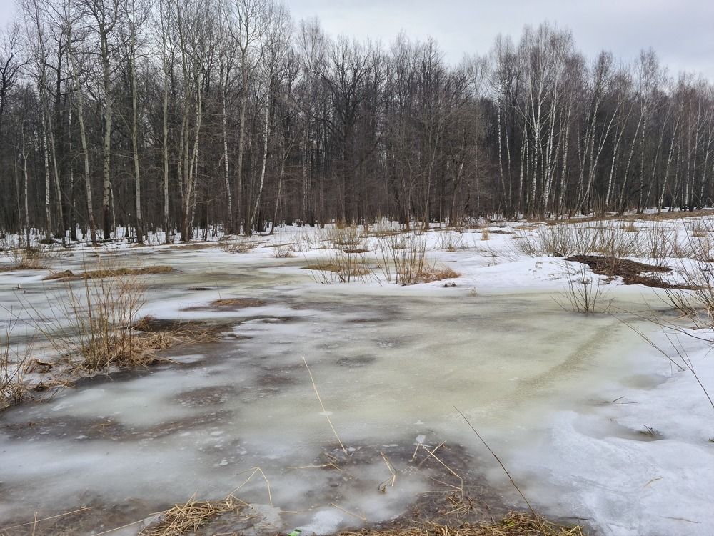 Photo #7572749