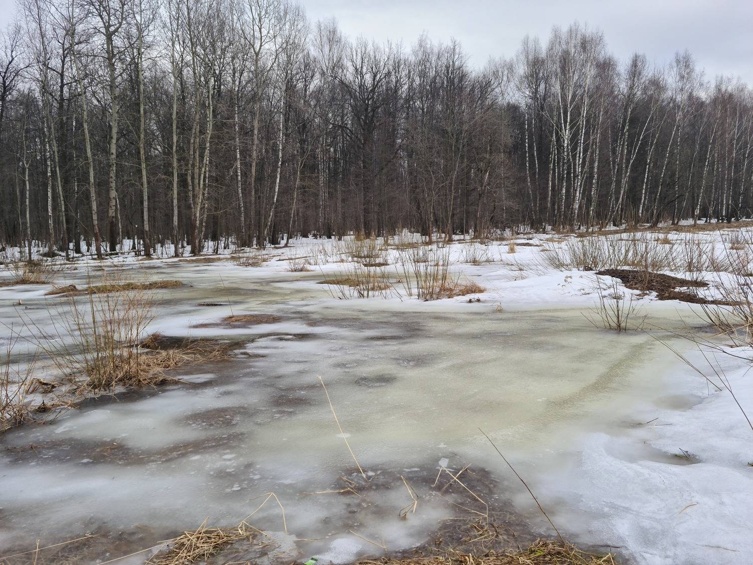 Photo #7572749