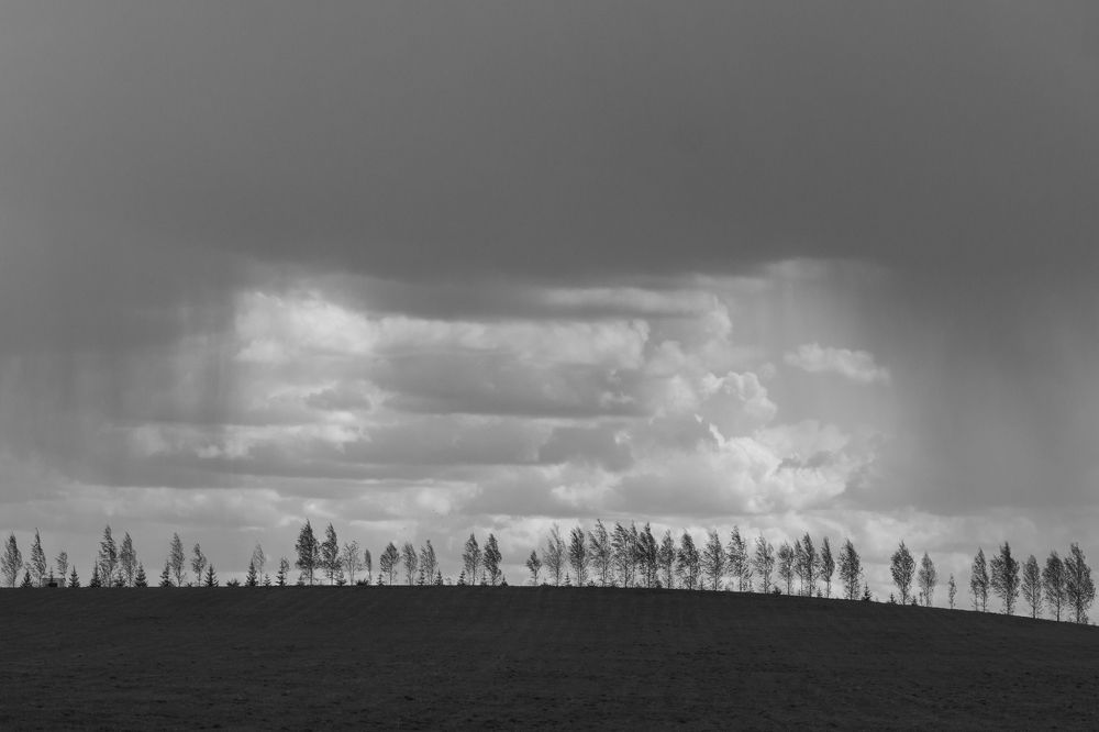 Photograph by Димитрий Осинцев