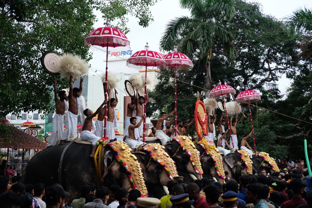 Photograph by Griffin Jose