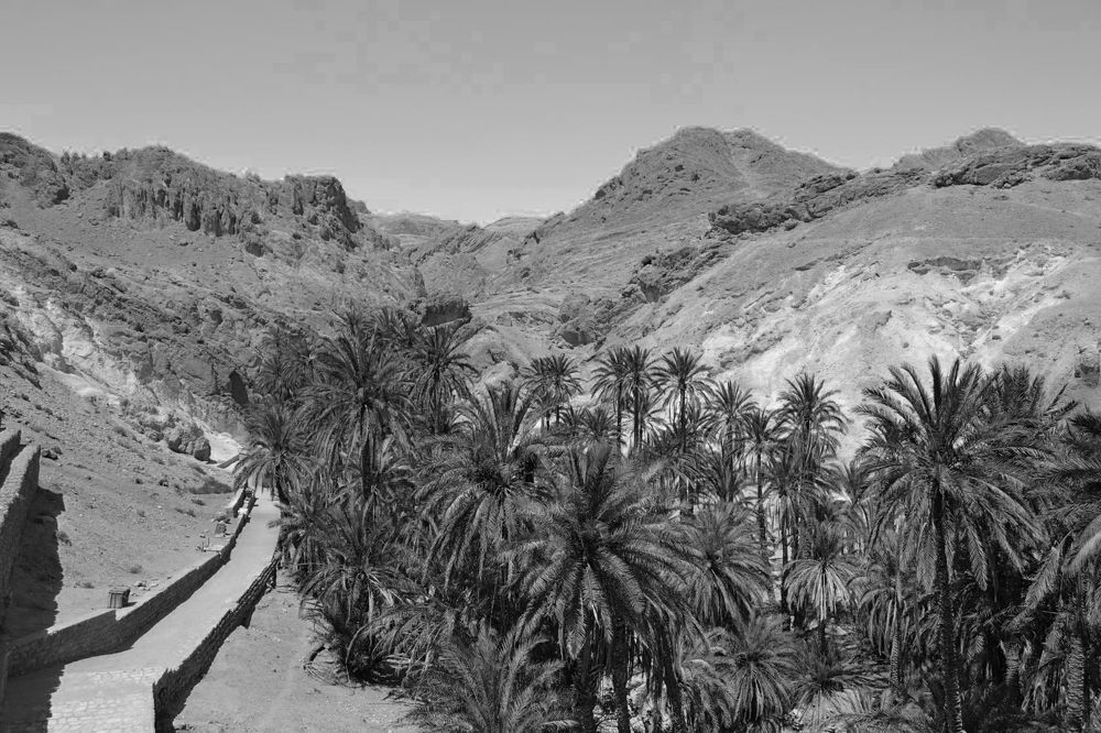 Photograph by Анжелика Трошина