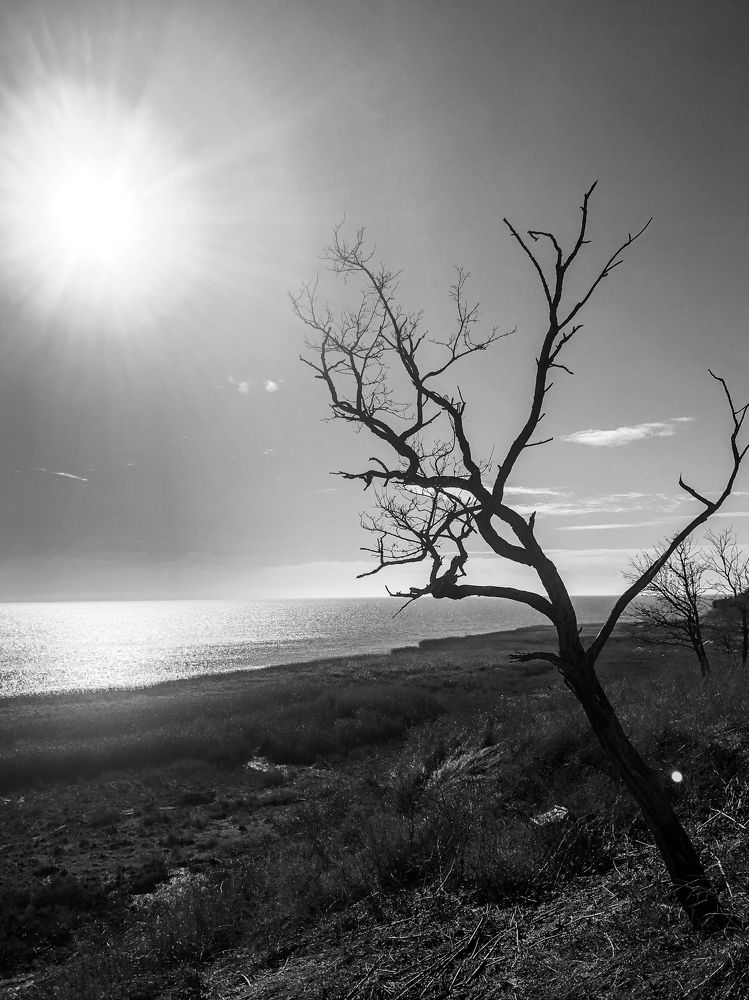 Photograph by Анастасия Волошина