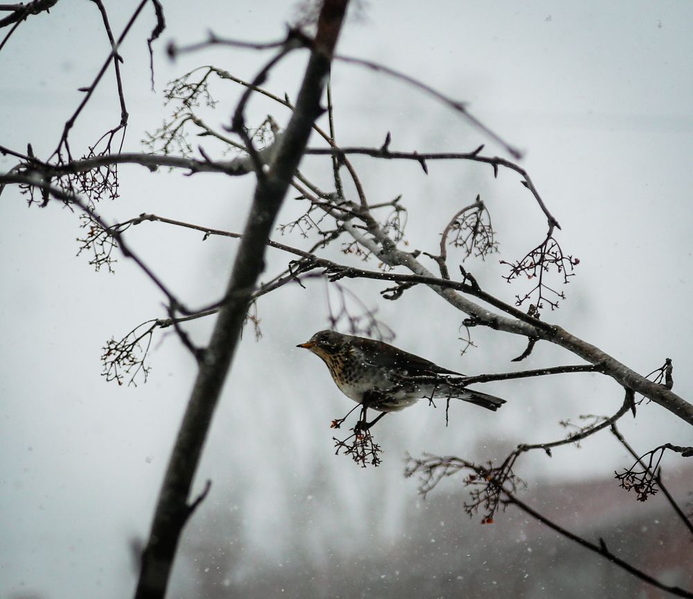 Photograph by Алена Кайбышева