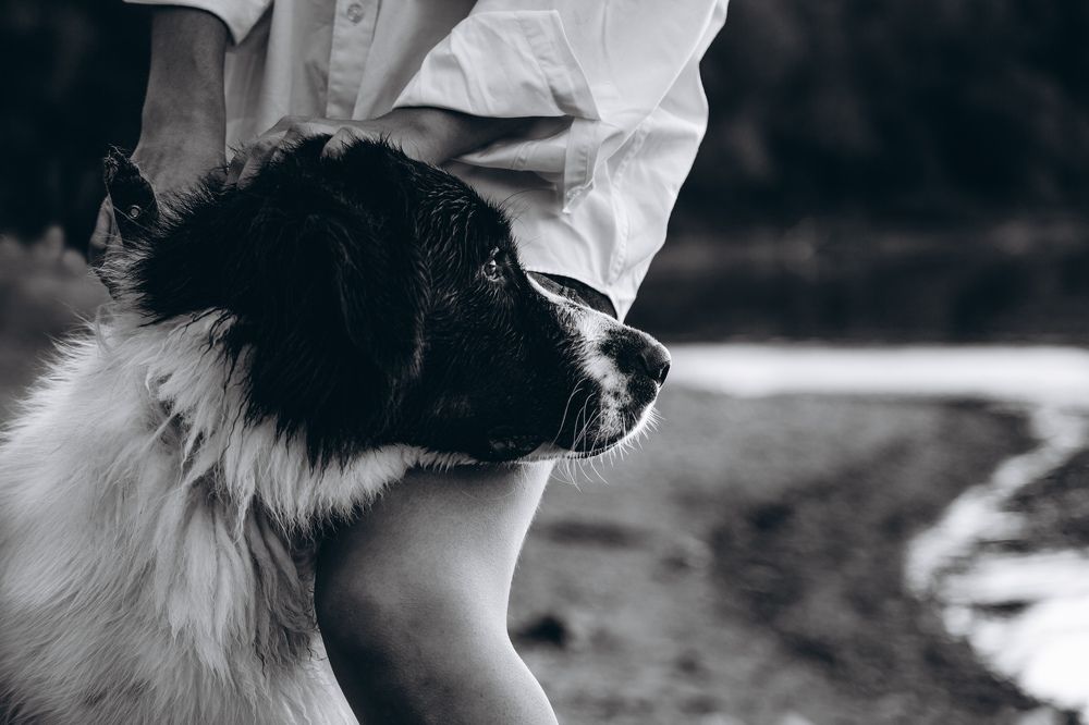 Photograph by Алена Кайбышева