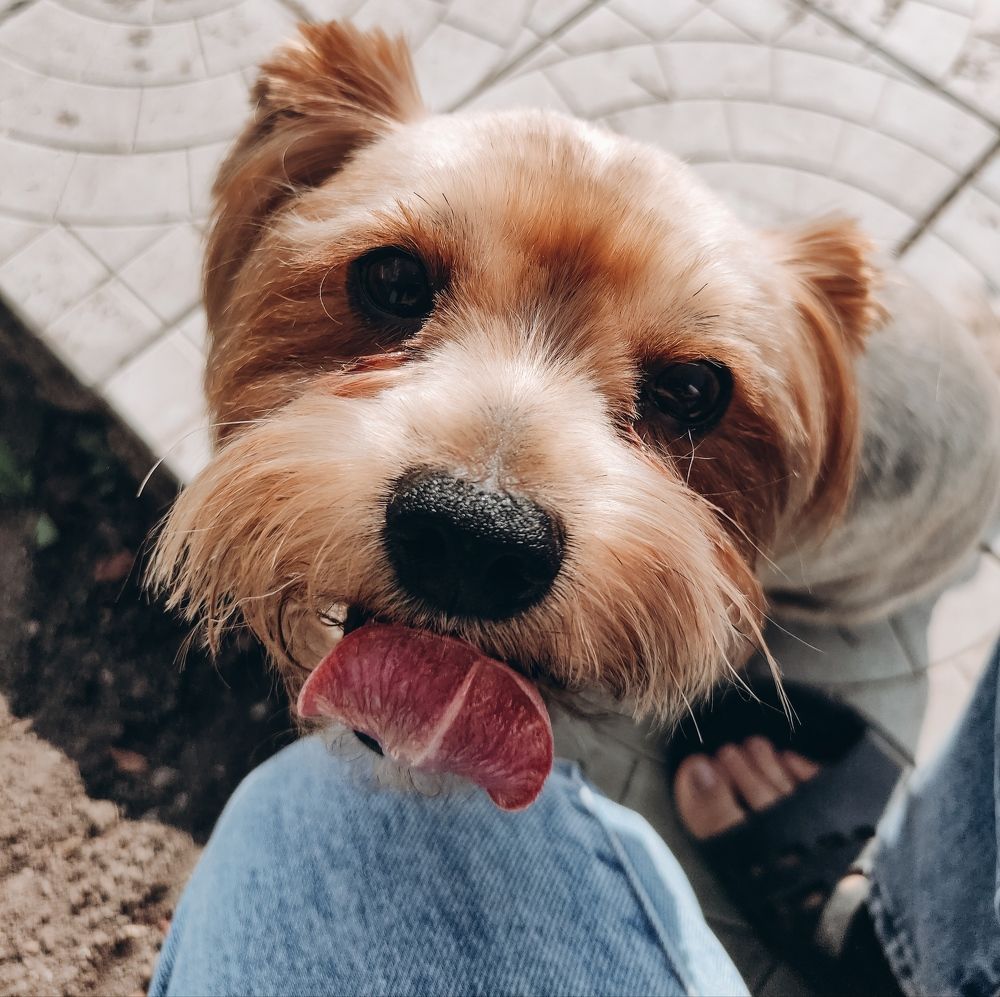 Photograph by Алена Кайбышева